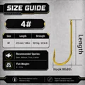 Size 4