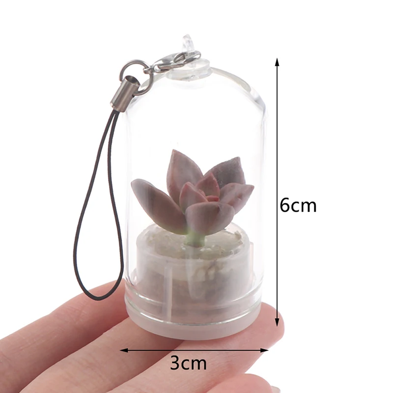 Succulent Plant Pendant Mini Succulent Cactus Plant Keychain Random Plant Pendant Keyring Charm With Glass Cover Craft Gifts