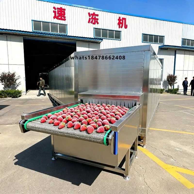 Factory Price IQF Tunnel Freezer Brine Free Flash Freeze Machine Core Motor Component High 220v/380v  Equipment