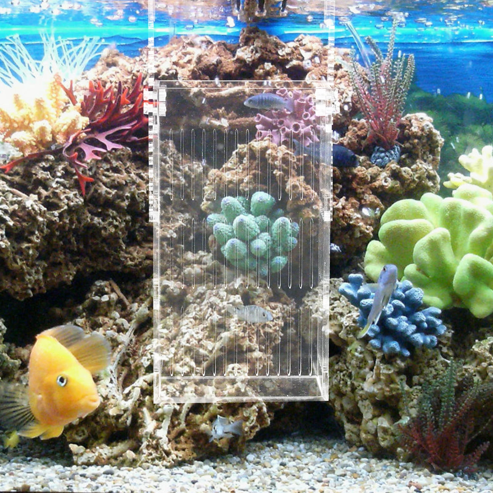 

Acrylic Fish Tank Hatchery Box Durable Separator Breeding Net Aquarium Baby Fish Safety Incubator Guppy Isolation Case Storage