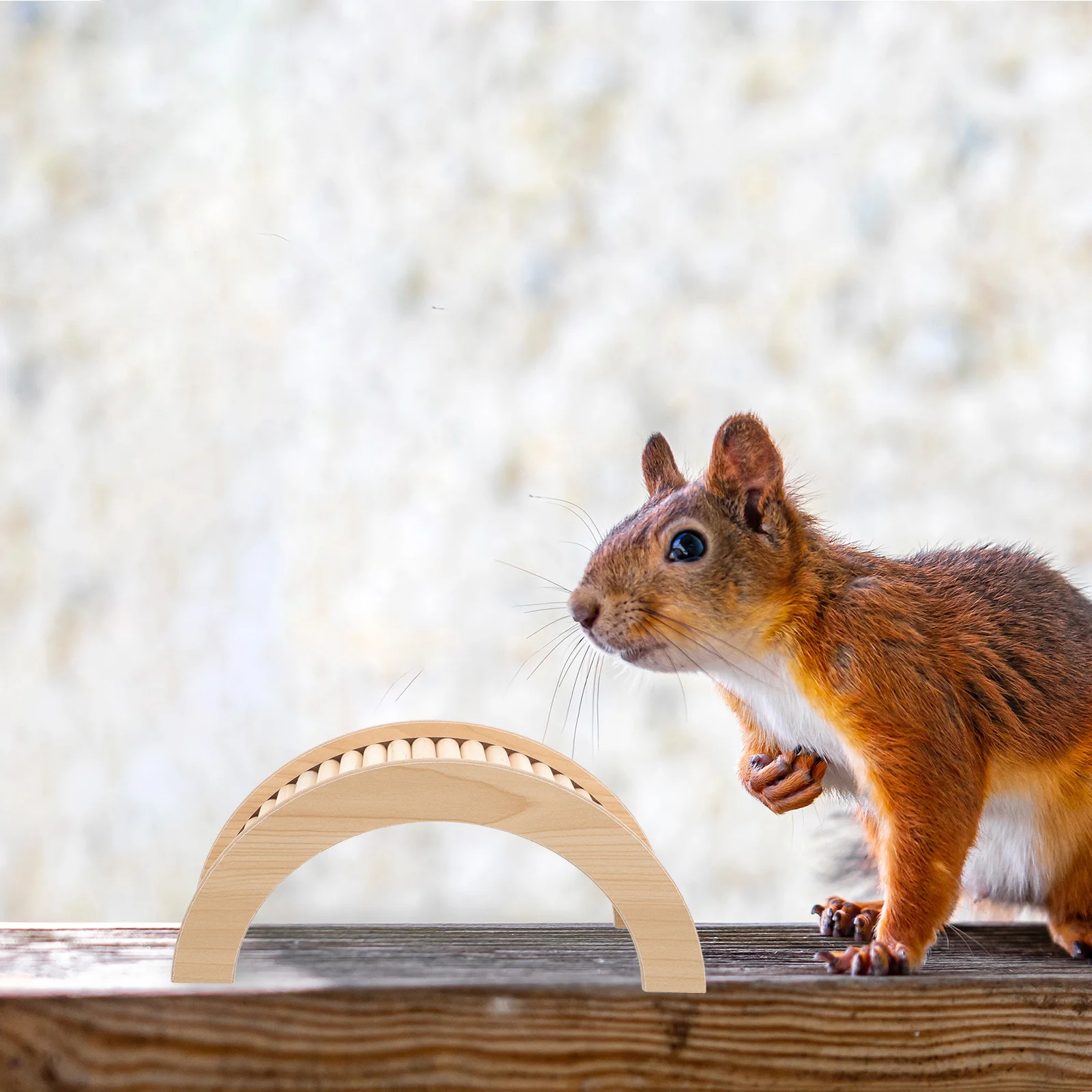 

Hamster Toy Bridge Guinea Pig Ladder Hideout Chinchilla Ramp Climbing Gerbil Toys