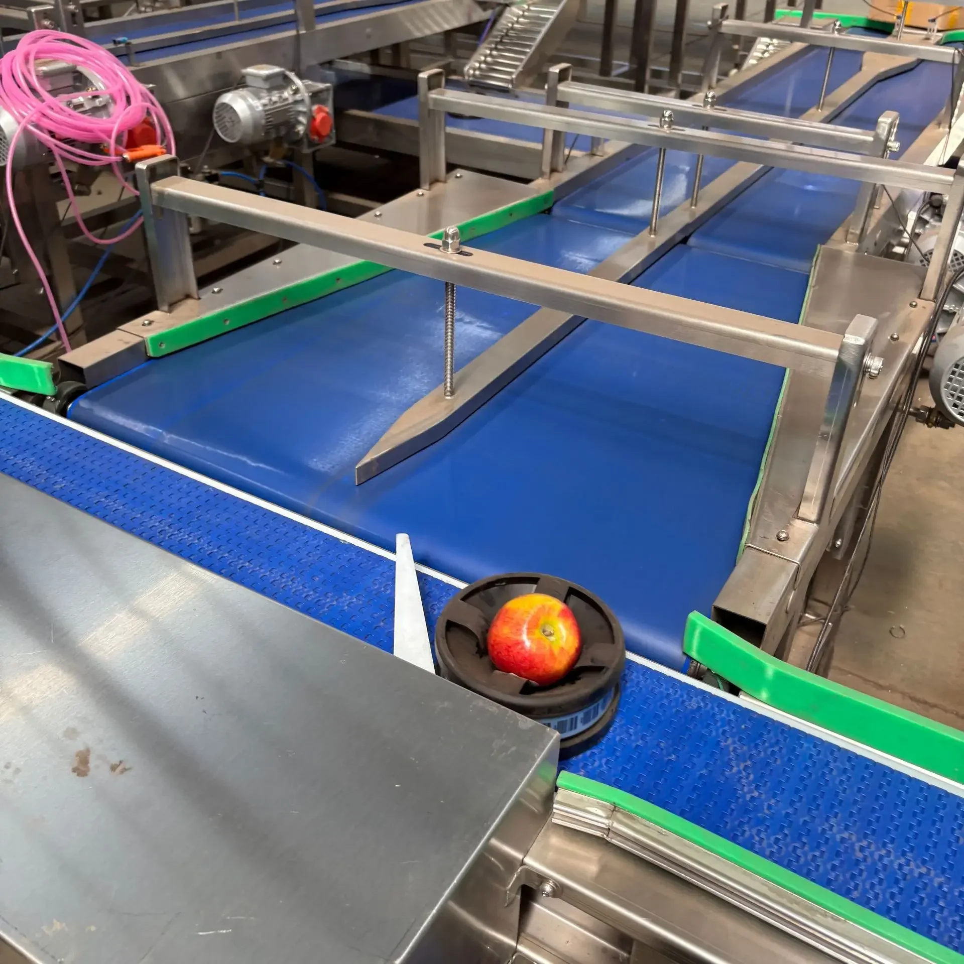 Fruit Weight Sorter Pomegranate Weighing Nondestructive Yellow Peach Sugar