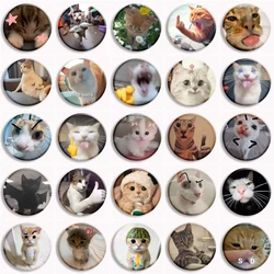 31Style Creative Cat Meme Funny Button Pin Cartoon Cute Lovely Sad Cat Memes Brooch Customized Badge Backpack Accessories 58mm