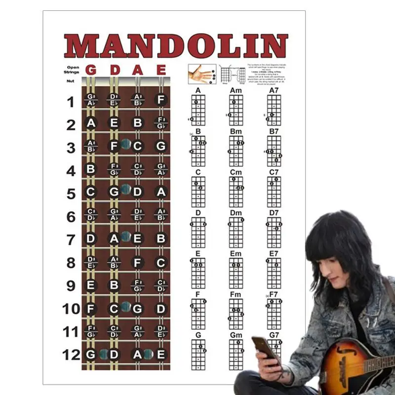 Mandolin Chord Chart Mandolin Learning Tools Fret Board Notes Cheat Sheet Concise Fingering Diagram Poster Music Theory Learning