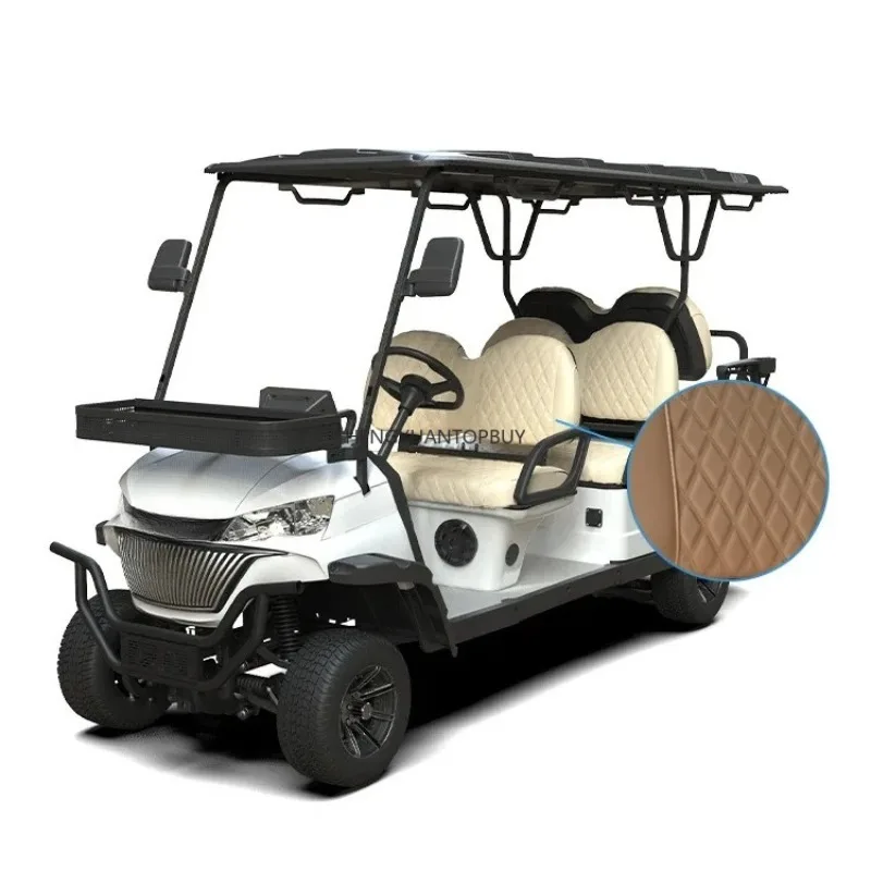 48V/72V Ac Motor Manufacturer Electric New Custom Golf Car