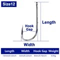 Size12