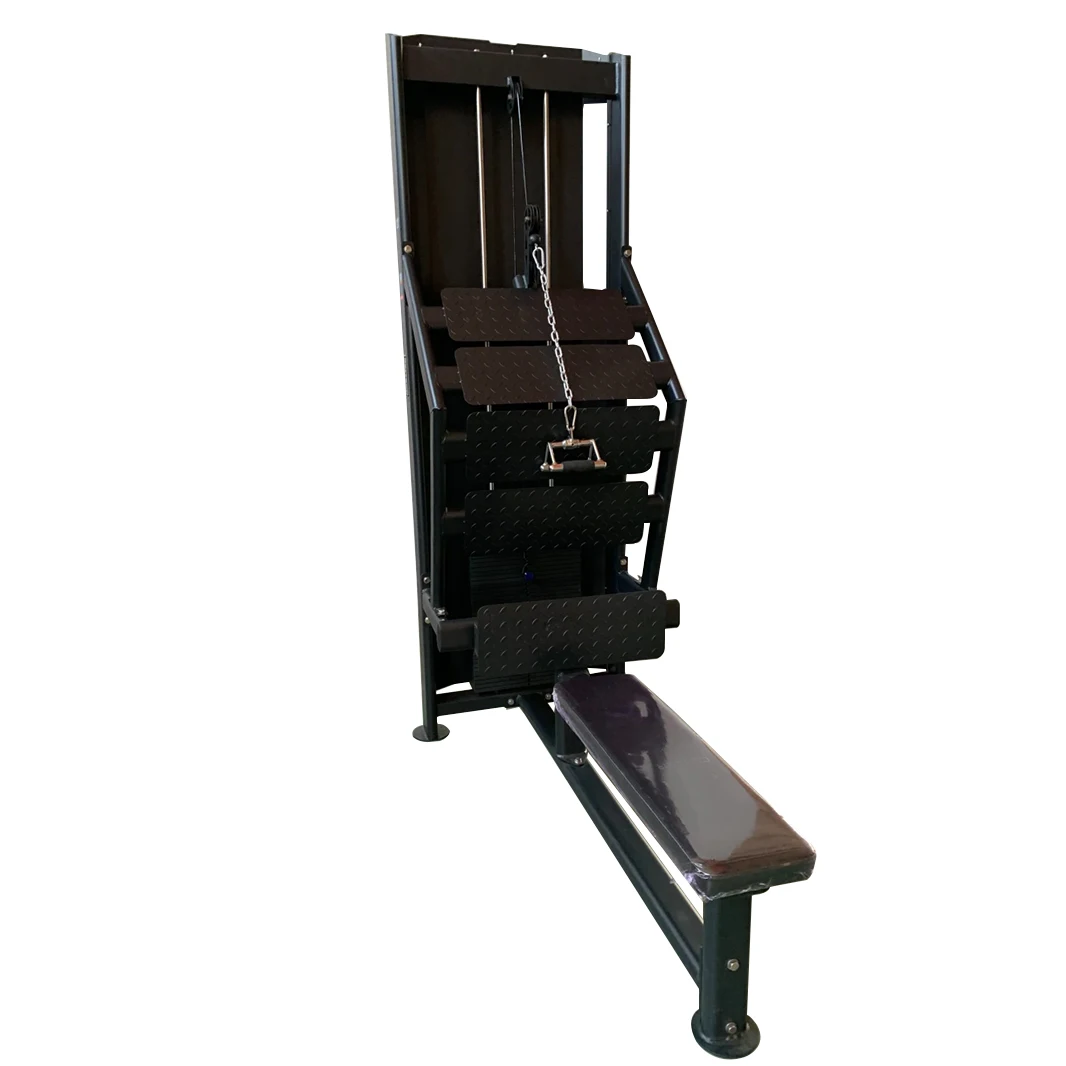 

Commercial Gym Steel Workout Equipment Incline Rowing Machine for Bodybuilding Indoor Application with Pin Loaded Leg Extension