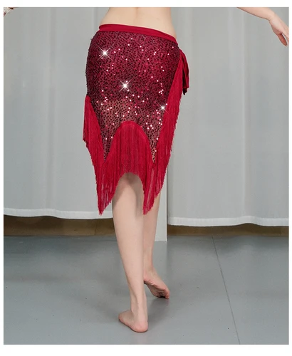 Imagen 2 del producto Ropa de danza del vientre para mujer, cinturón moldeador de rejilla Irregular con flecos largos, bufanda de cadera para danza del vientre, envolturas de corbata con lentejuelas brillantes