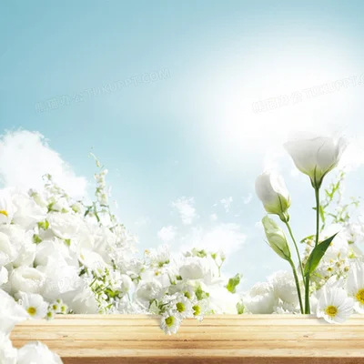 

B-CUBE High Stability ELRS 2.4G Receiver - Nano Size T-Type Antenna Wifi Upgrade for FPV Long Range Drone ExpressLRS