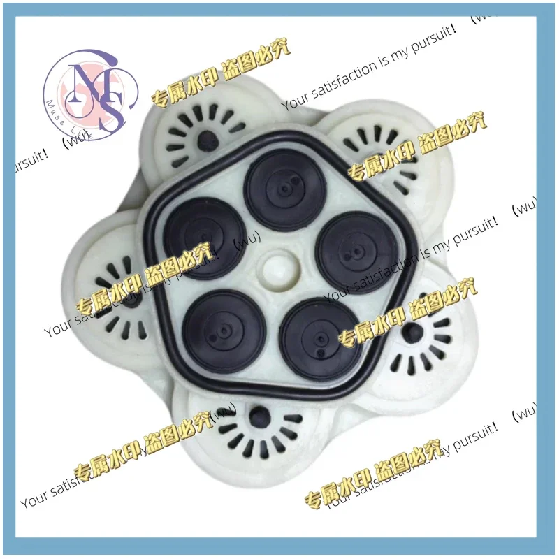 For 5-Cylinder Diaphragm Pump 12/24/48/60V Metering Pump Replacement Parts
