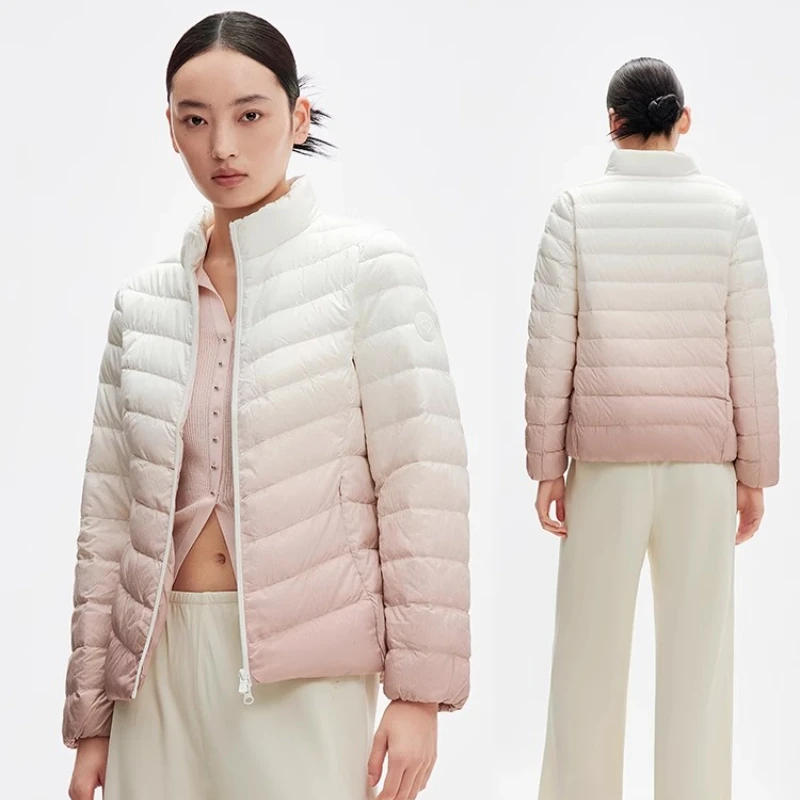 Chericom Kurze Daunenjacke mit Stehkragen und Farbverlauf, versteckte Taschen mit Reißverschluss, schmal geschnittenes Design, leichter Mantel Y289010Y