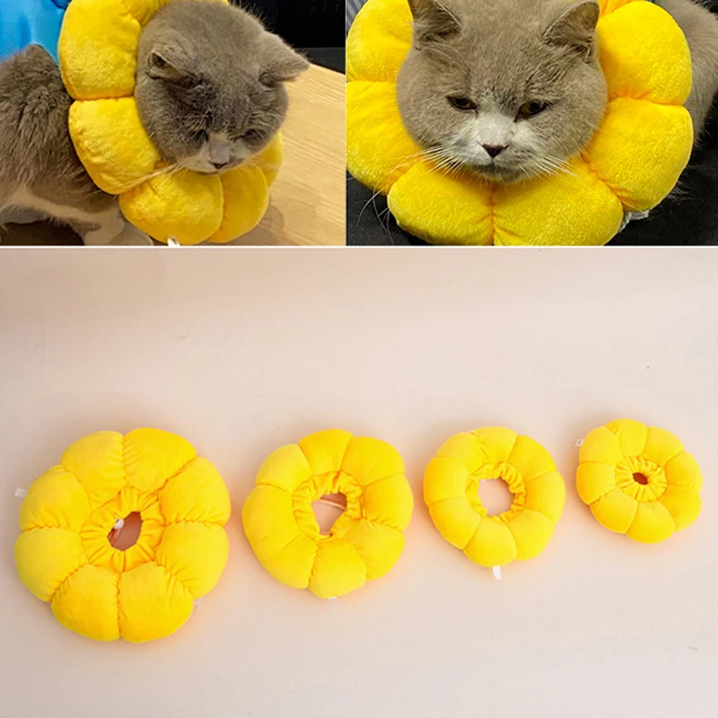 Anti-Bite Elizabethan Collar for Cat Wound Healing Protection Sunflower Shaped Pet Collar Recovery Cat Collar Cat Accessories