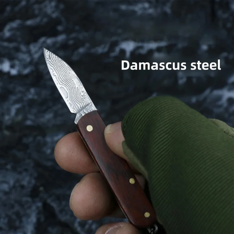 Damascus knife camping knife portable knife keychain outdoor folding knife mini self defense fruit knife