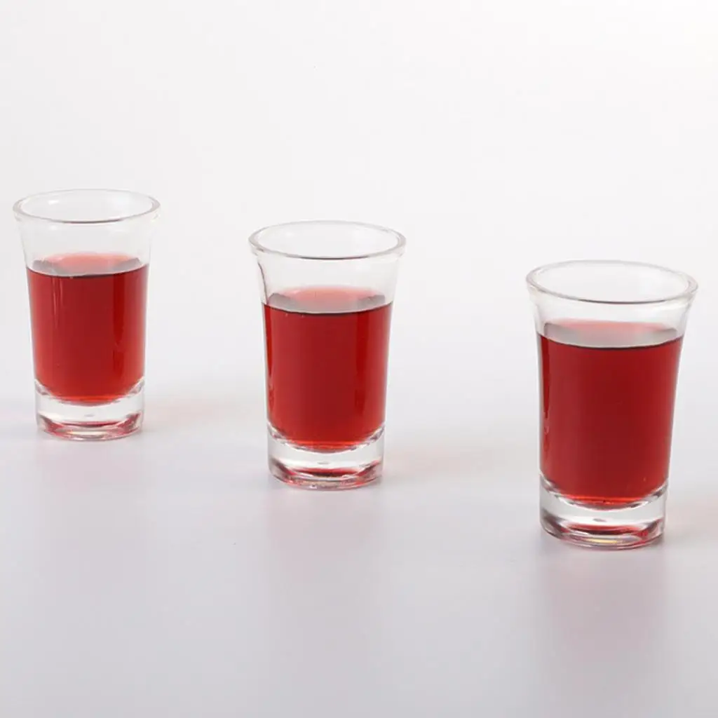 High Temperature Resistant Acrylic Whiskey Glass Unbreakable Water Cup for Thermal Mug Lovers