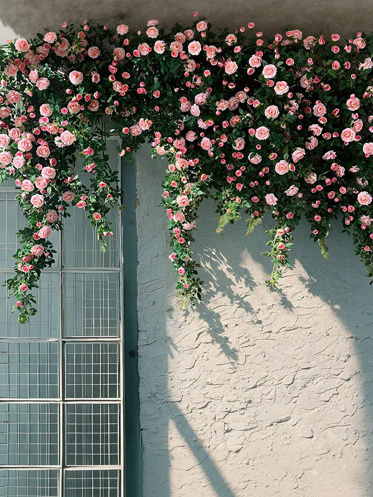 

Simulated Internet celebrity rose vine landscaping clock in background wall