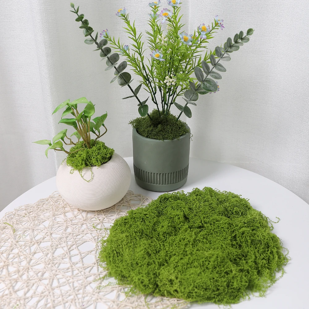 30/50/100G Grüne Künstliche Pflanzen Moos Gras für Home Room Decor Garten Dekoration Mini Landschaft Gefälschte blume Handwerk Ornament – Detail 2