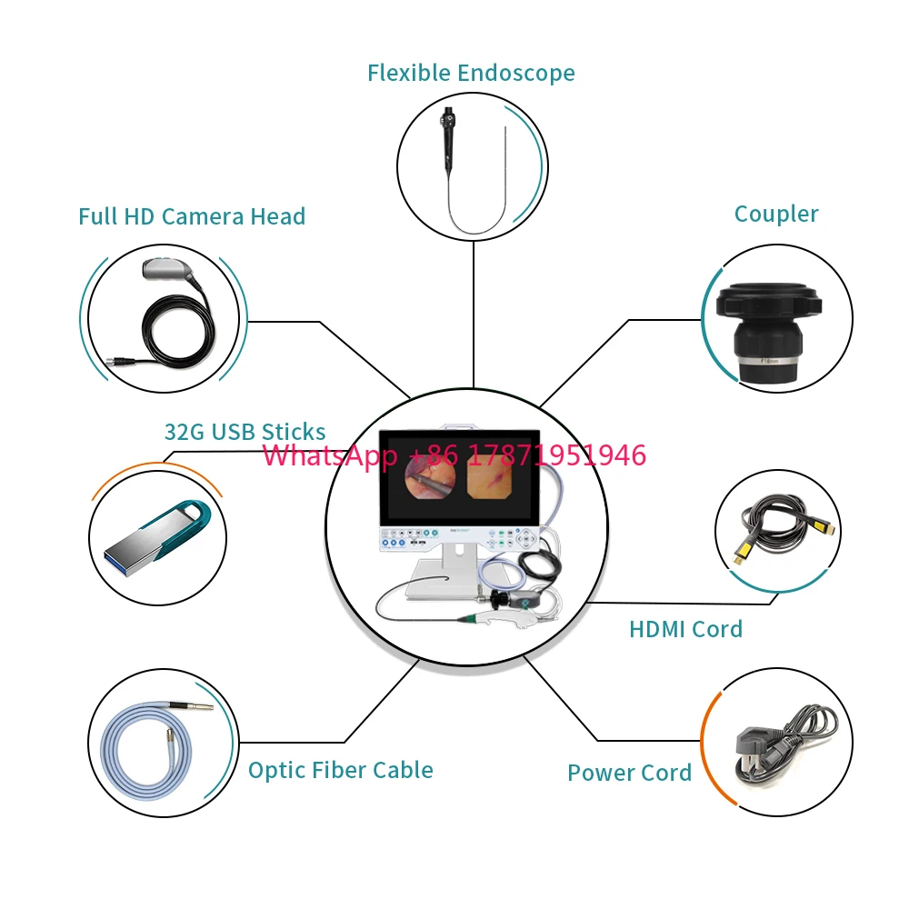 15.6 inch display Full HD All in one Endoscope camera  System with Light source for laparoscopy Urology ENT