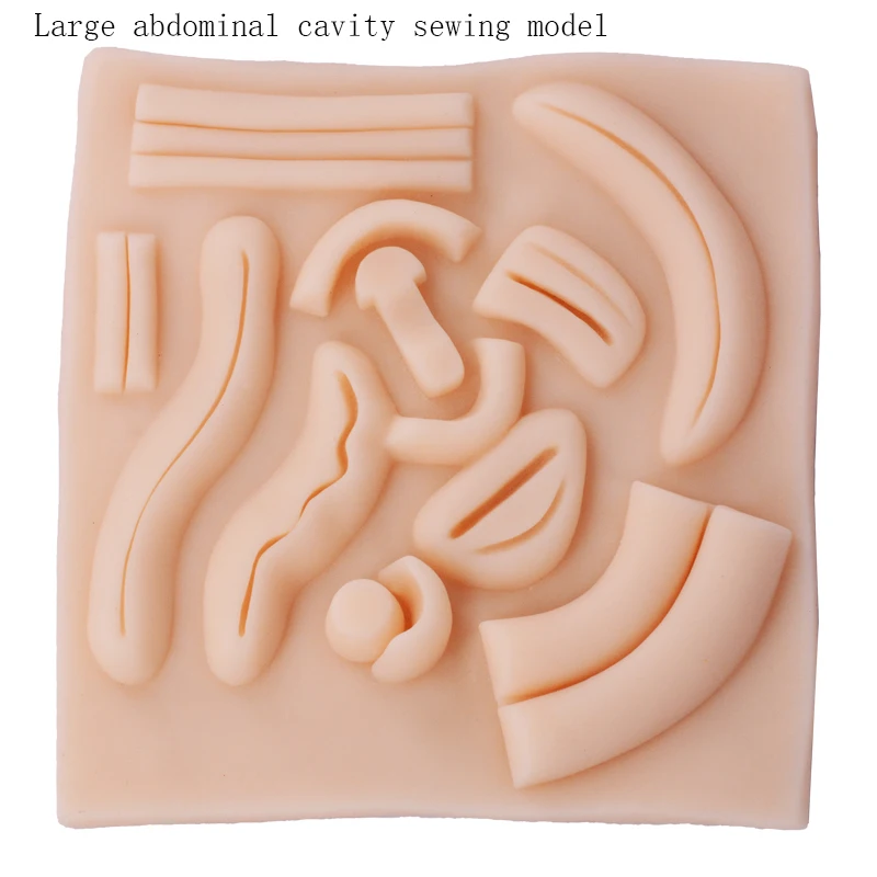 The large abdominal suture model simulates the large abdominal wound doctor's exercise