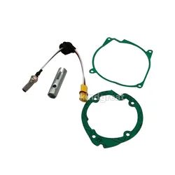 Piezas de calentador Airtronic para Eberspacher D2 D4 D4S, bujía incandescente 252070011100, colador, juntas de quemador de Motor y llave inglesa