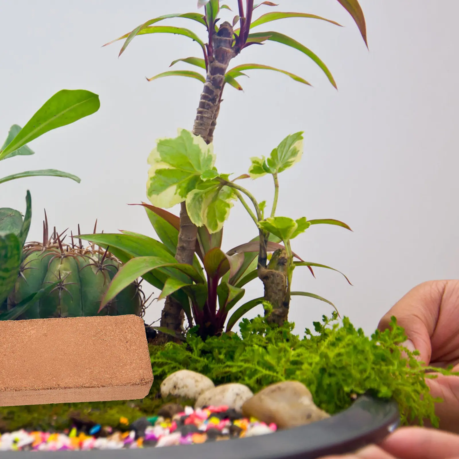 1pcs 1 Bag Coir Brick Nutrient Block For Indoor Outdoor Gardening Cactus Succulent Transplanting Expanding Potting