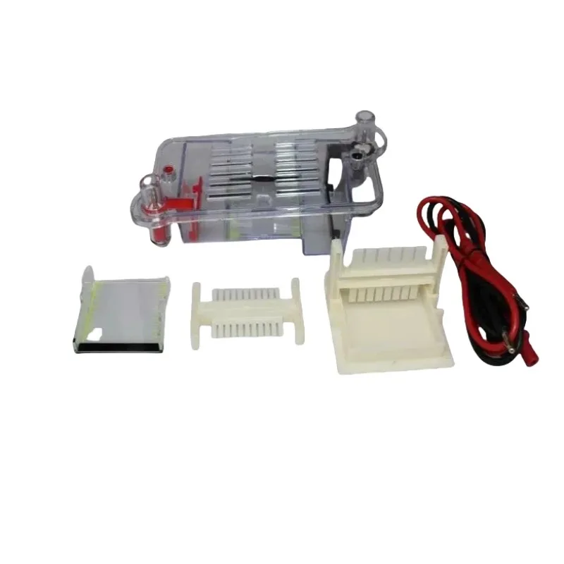 

Horizontal Electrophoresis Tank Agarose Electrophoresis Tank Biological Instrument Molecular Separation Teaching Instrument