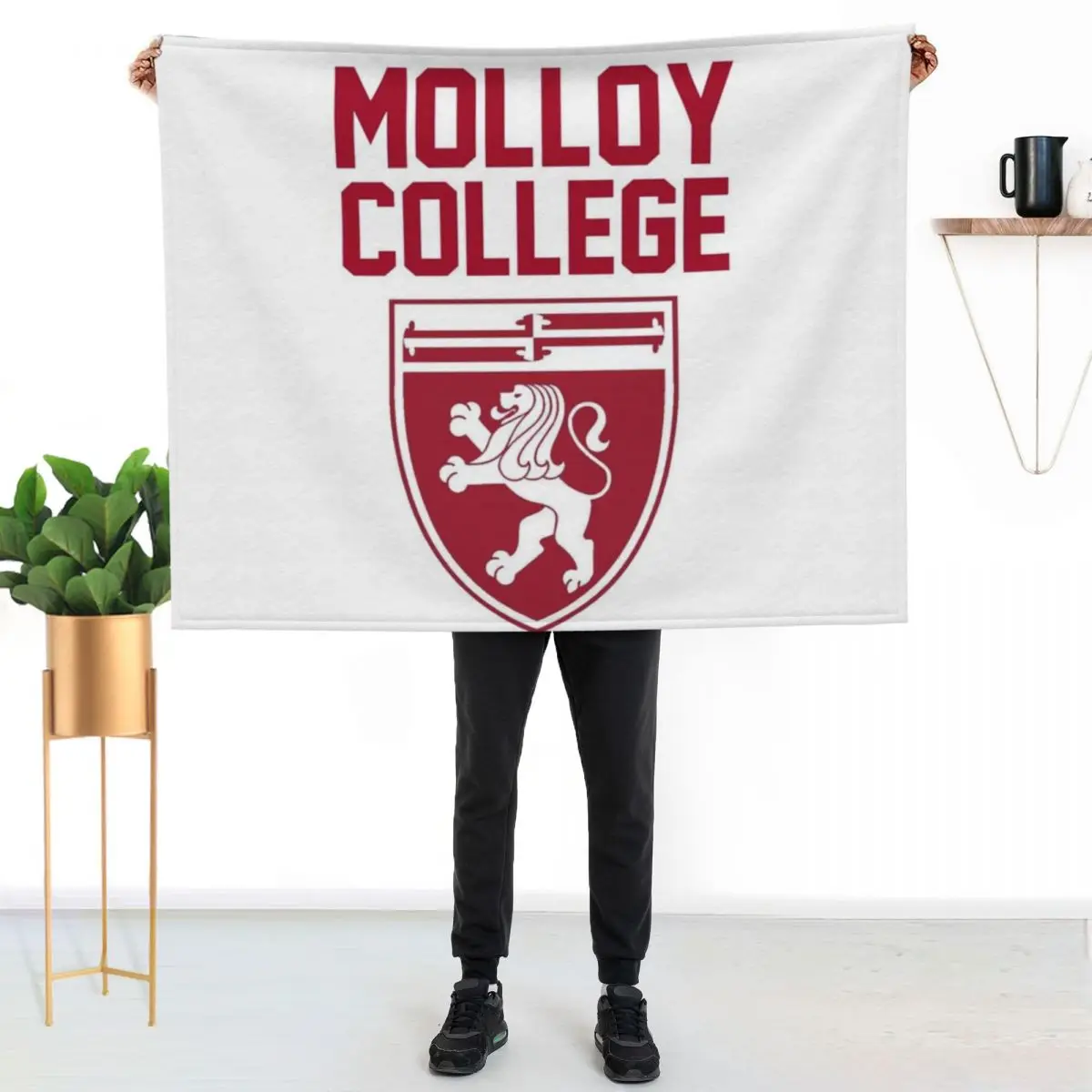

Molloy College Throw Blanket Modern Design Soft Blanket for Home Decor