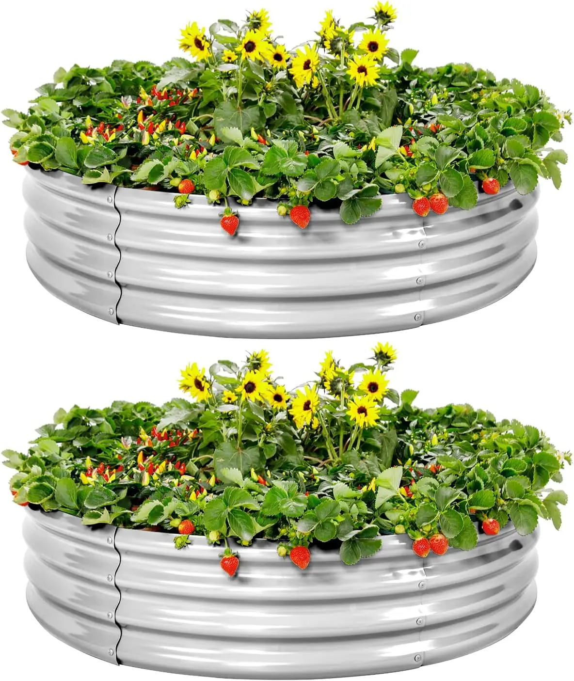 

Galvanized Raised Garden Bed 2-Pack, 4x4x1ft Outdoor Planter for Vegetables and Flowers