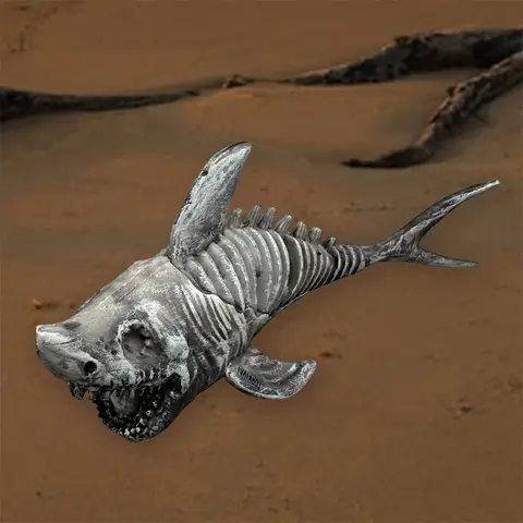 8 best sales समुद्र तट घर सजावट - №5