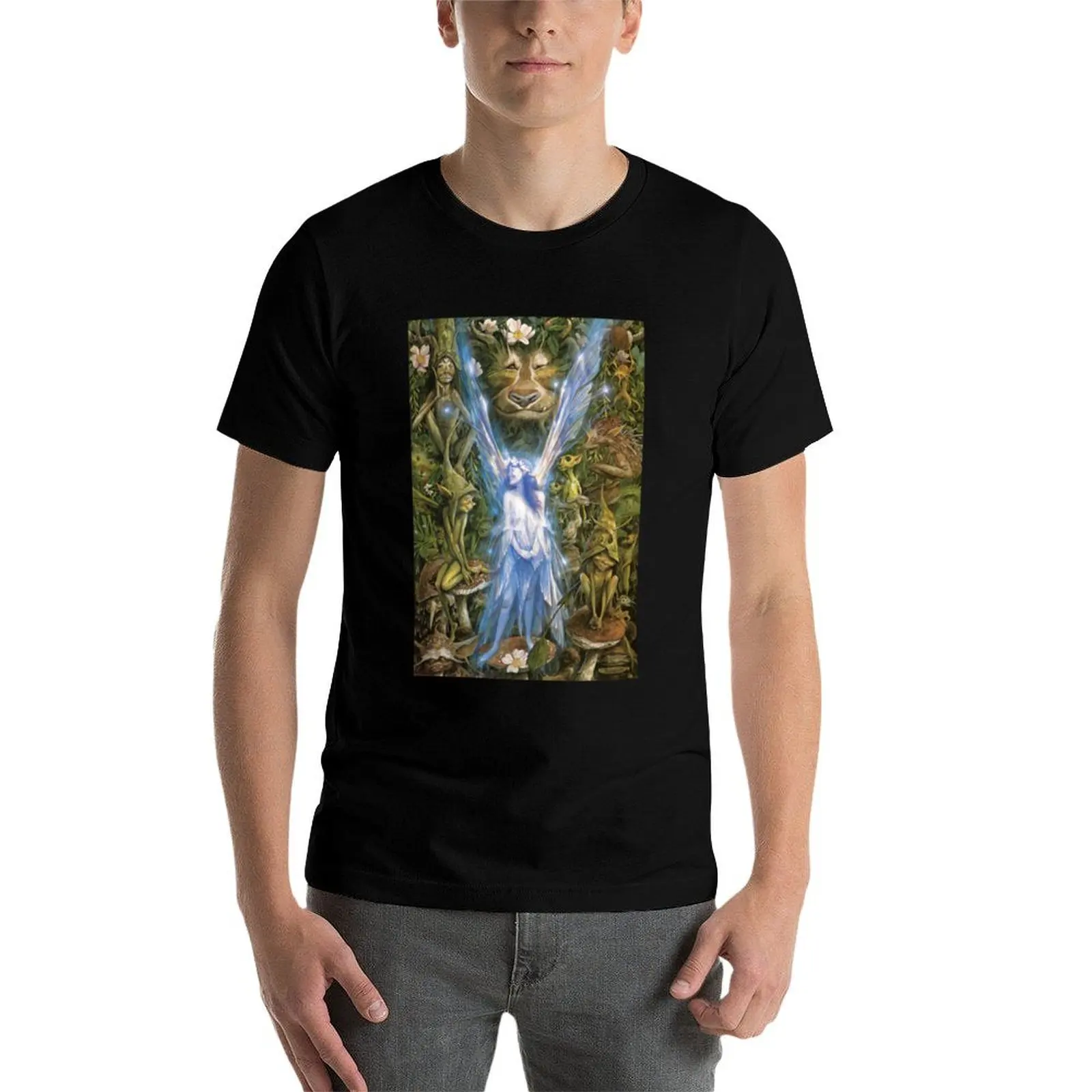 

Brian Froud - The Faery Who Was Kissed by the Pixies T-Shirt man t shirts for men casual T-Shirt