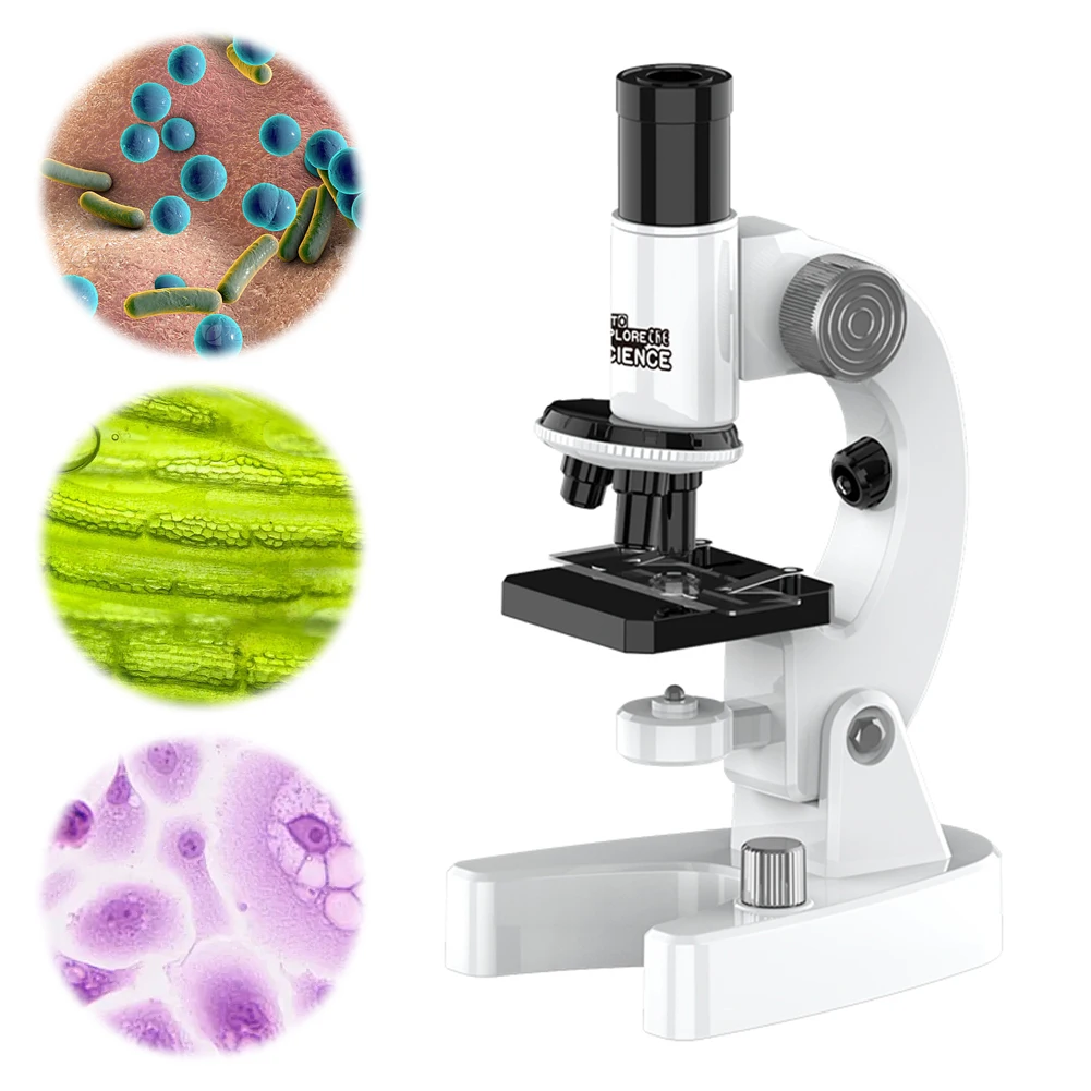 200X to 4800X Magnification Biological Microscope with Smartphone Holder and Slides Set for Home and School Use