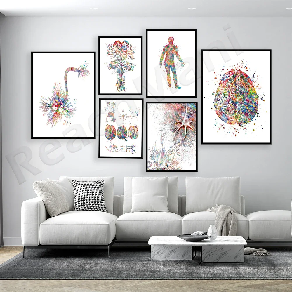 Neuroscience Art Neurology Art Anatomy Brain Nervous System Neuron Cell Synapse Poster Neurologist Office Art Clinic Wall Decor