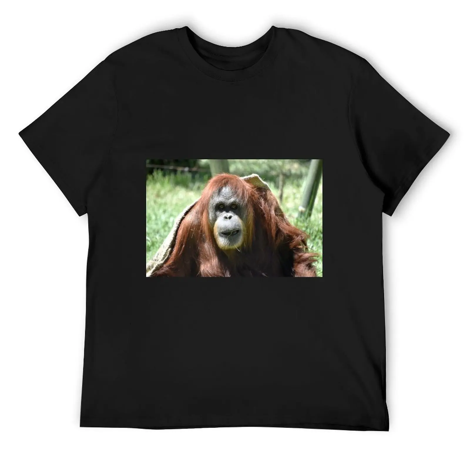 Sumatran Orangutan Karen at the San Diego Zoo T-Shirt new edition anime figures sports fans sweat shirts, men