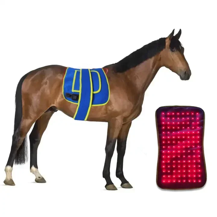 

Заводской OEM ODM красный свет, лошадь, терапия, красный свет, 660 нм, 850 нм, инфракрасный светодиод, терапия красным светом для лошадей