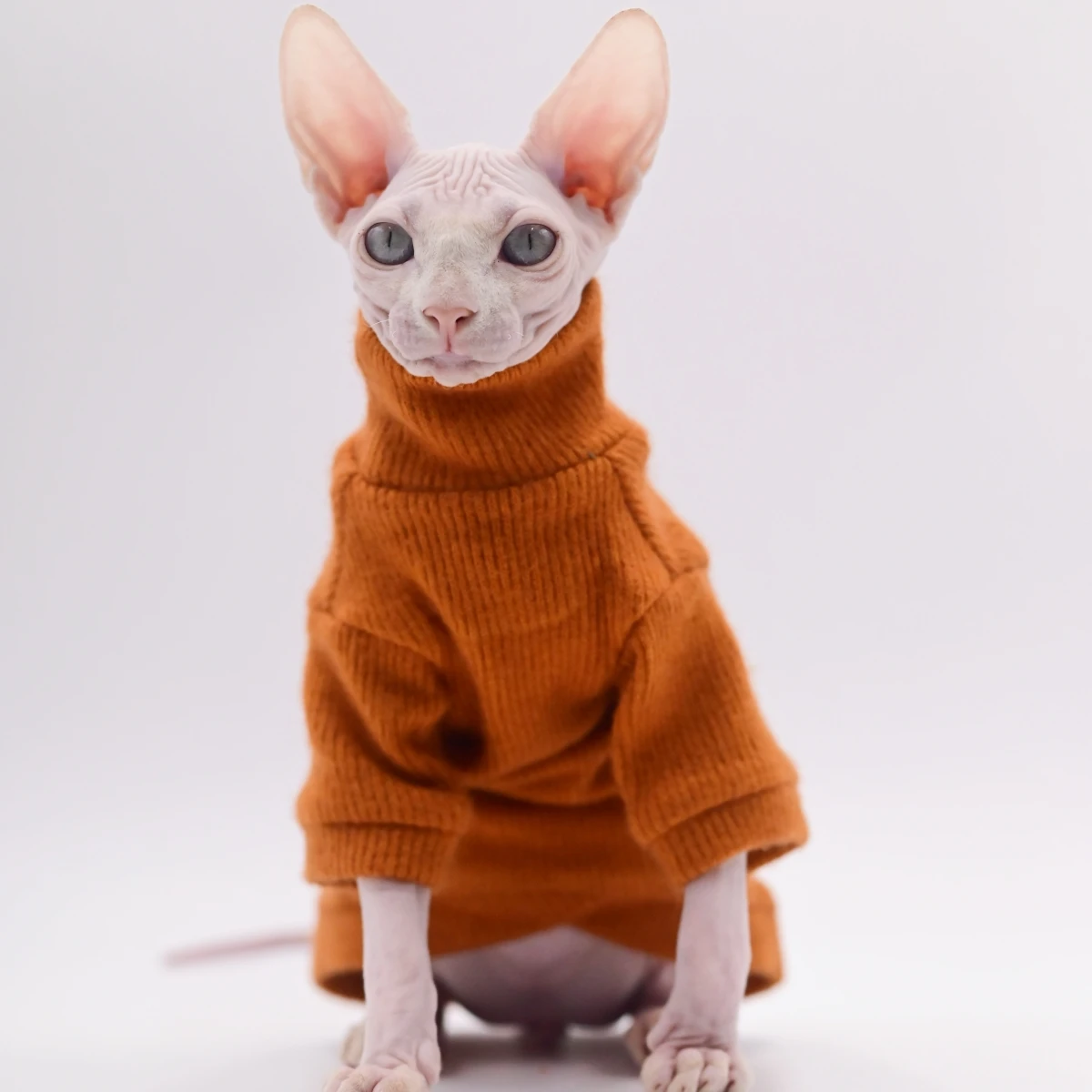 

DUOMASUMI-Super Soft Warm Sphynx Cat Clothes, Fashion Kitty Clothing, Comfort Winter Sphinx Hairless Cat Clothing