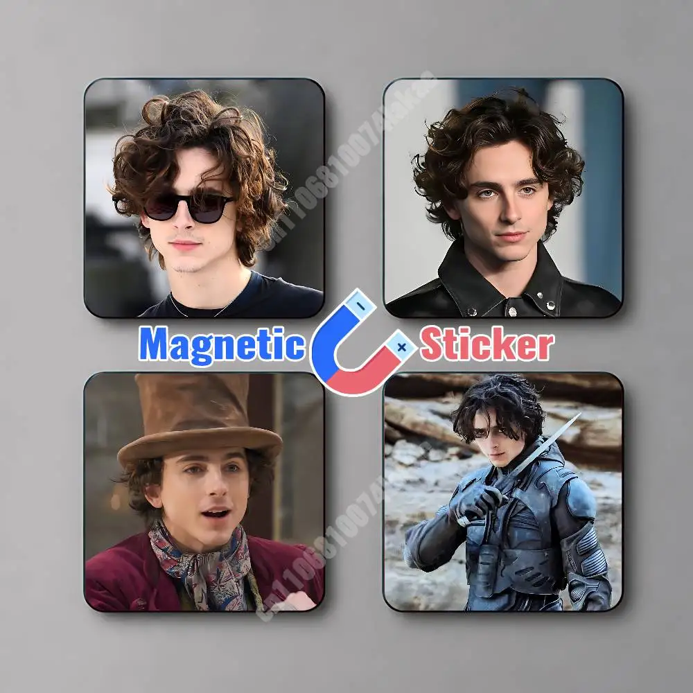 Timmy T-Timothee Dune C-Chalamet Wonka Magnetic Sticker Reusable Fridge Decal for Metal Surfaces Magnet Marker