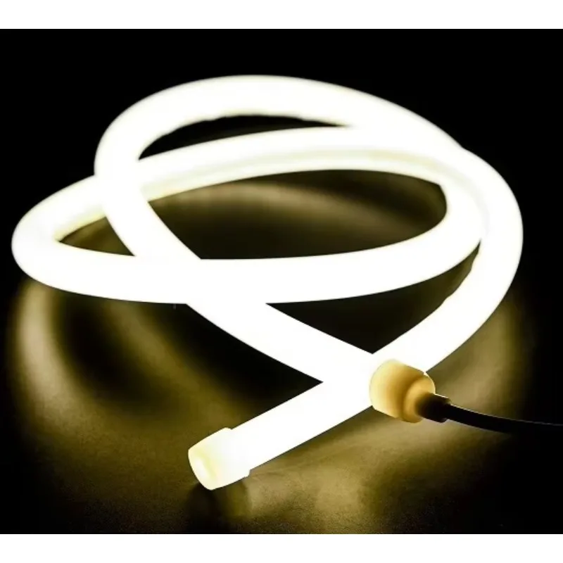 2026 Project & Design 360 Degree Surround Light Neon Light Strip Rope