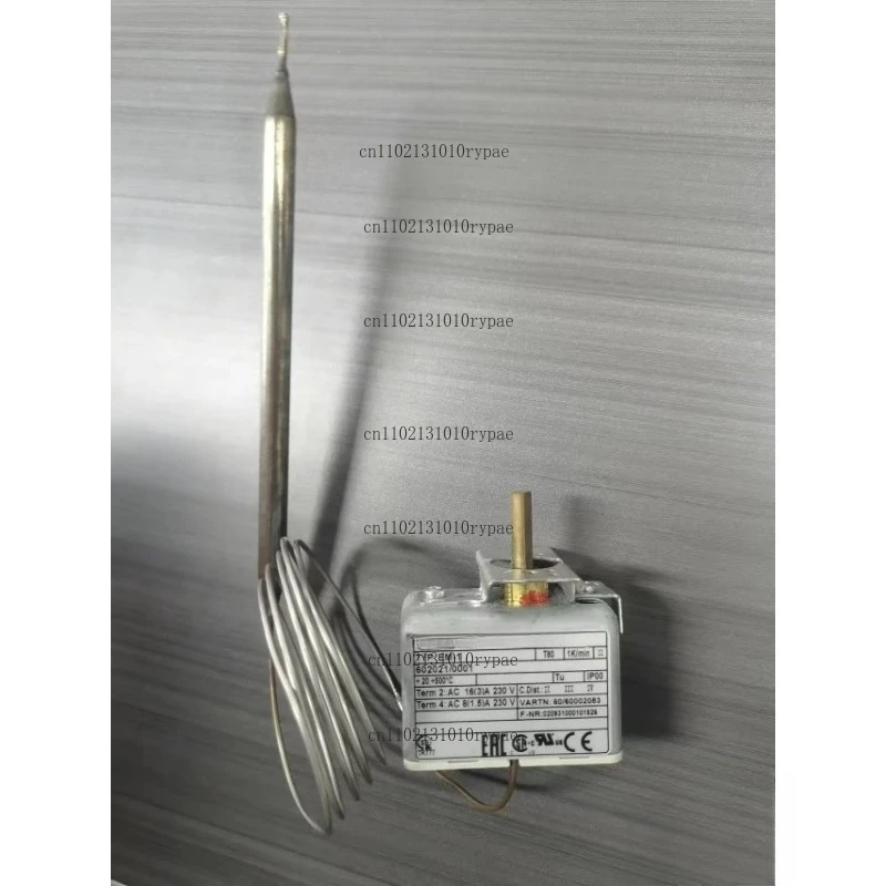 602021/0001 EN-1temperature sensor is a cross-border hot sale