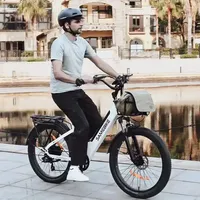 SAMEBIKE RS-A01 Electric Bike 750W 48V Removable Battery 26*3.0 Inch Fat Tire City Road Electric Bicycle With Basket