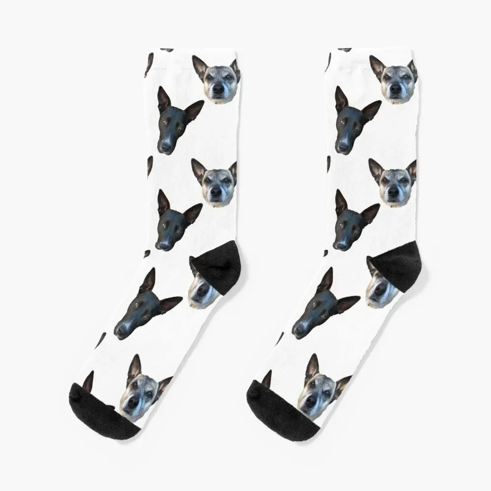 

2houndnight Socks fashionable anime christmas gifts Men Socks Women's