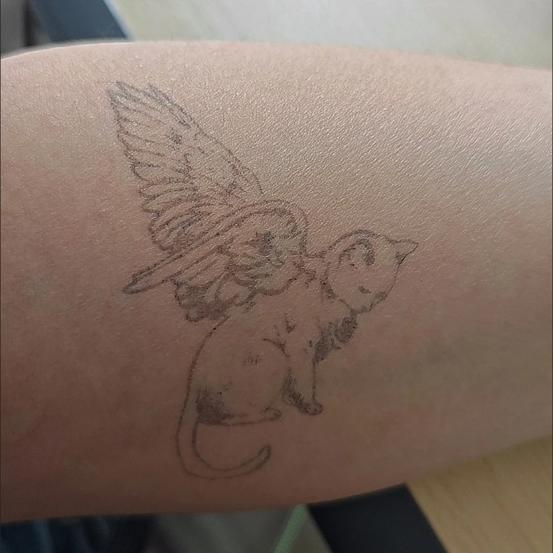 Herbal Cute Angel Cat Temporary Tattoo for Women Man Arm Semi Permanent Body Art Fake Tattoo Waterproof Kitten Wings Sticker