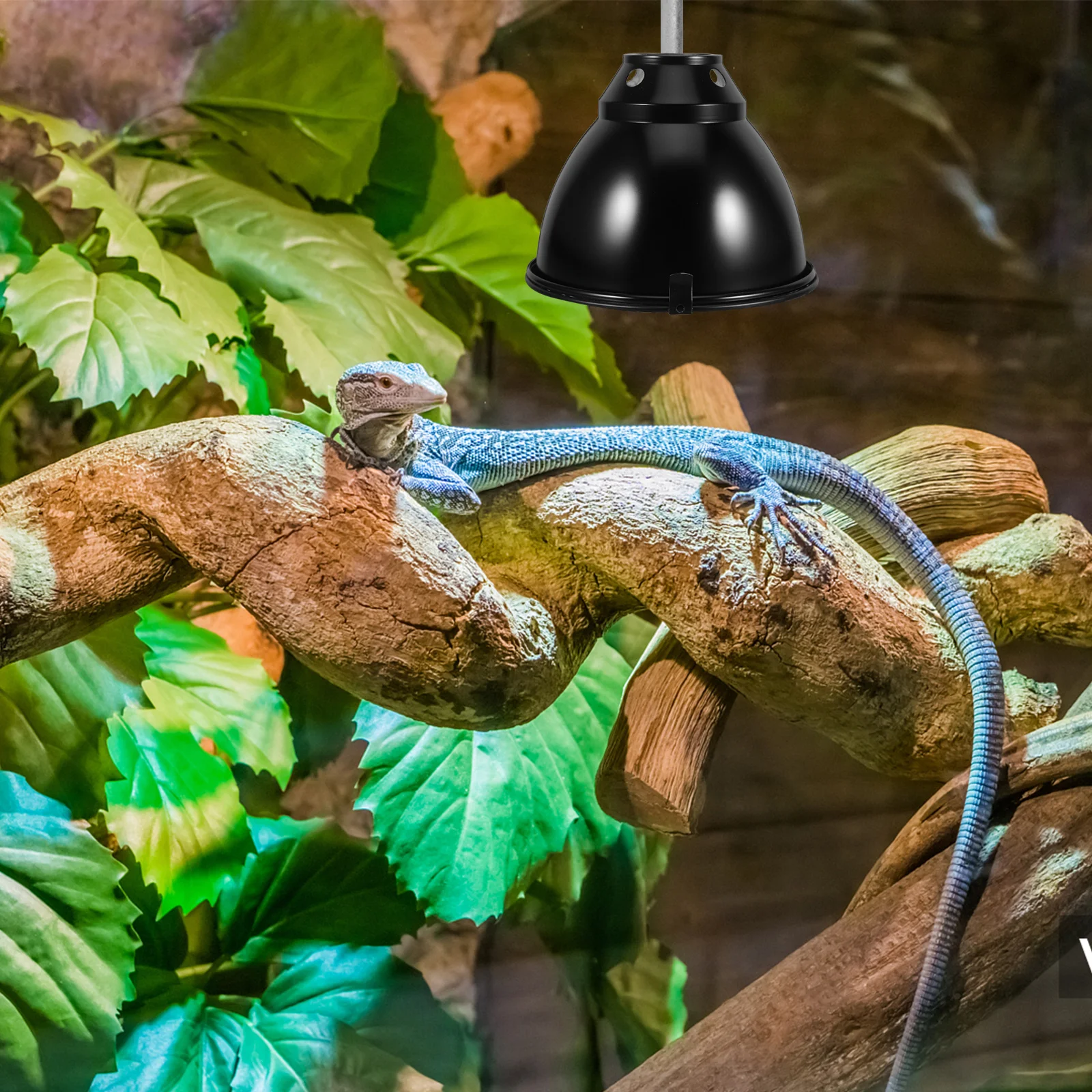 

1Set Anti-Scald Dome Light Cover Aluminum Reptile Heat Lamp Shade Safety Guard for Indoor Greenhouse Reptile Warmth