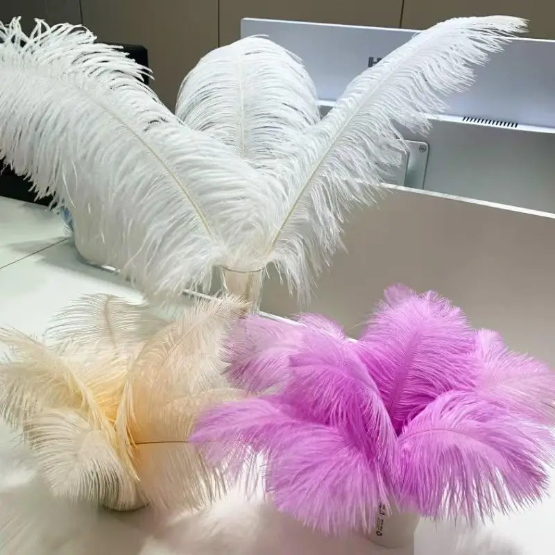 25 bis 30 cm Straußenfedern, weiche Federn, dekorative Federn, verschiedene Farben, ideal für Hochzeiten, Partys, Heimdekoration, Bastelarbeiten und als Schmuckelement. – Detail 4