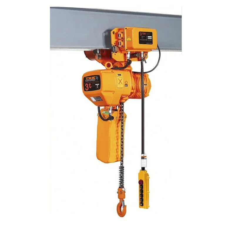 China Manufacture TOYO Hoist Factory Low Price 250Kg 500Kg 1000Kg Mini Electric Chain Hoist