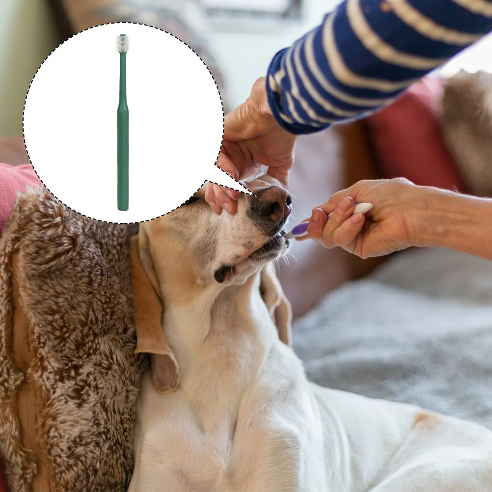 

1 Pc Pet Toothbrush for Small Dogs Cats al Care Tool Green Compact Non Slip Handle Multi Functional Teeth Gum Massage TPE