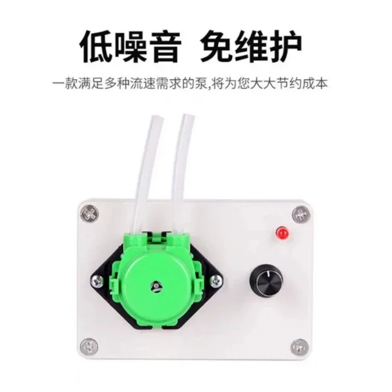 Food Grade Peristaltic Pump, Lab Micro Dosing Pump Head, Mini Constant Flow Liquid Transfer Water Pump
