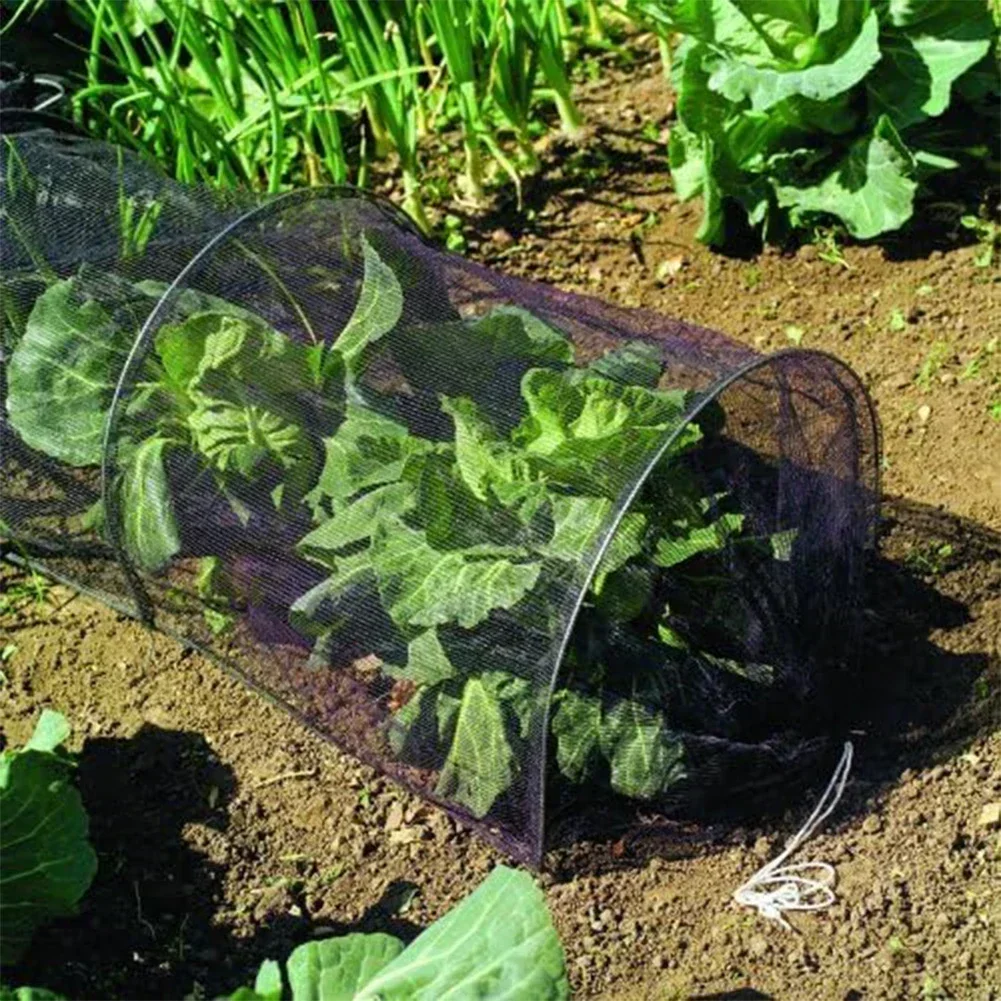 

Outdoor Agricultural Transparent Plastic Film Vegetable Small Arch Greenhouse Film Plastic Paper Insulation Cold Proof Film