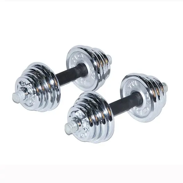 Cast Iron Weight Lifting Chrome Body Building Fitness Electroplating Adjustable Gym Dumbbell Set