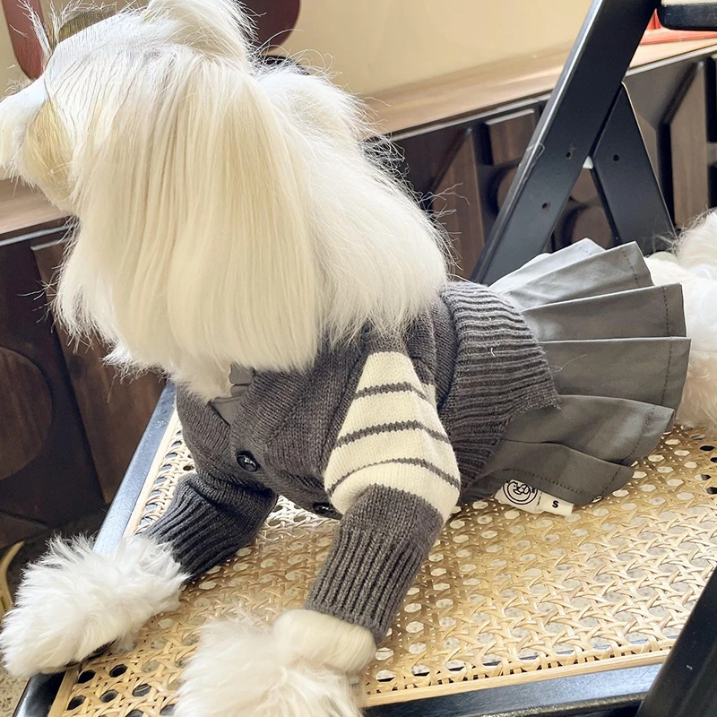 Luxury Fashion Dog Sweater Coat with Dress Wholesale New Dog Clothes Autumn Fashion Design Knitted Sweater Cardigan Pet Clothing