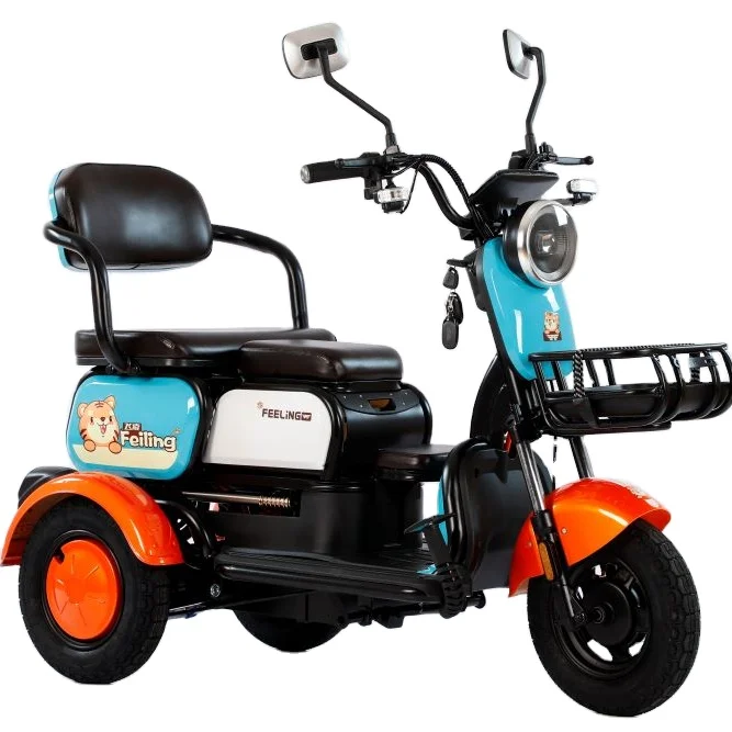 

China Cheap Adult Electric Tricycle 3 Wheeler Electric Vehicle Tricycle for 2 People