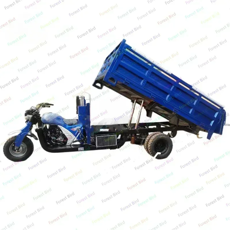 Heavy Duty Adult Truck 3 Wheel Cargo Gasoline Agricultural Tricycle